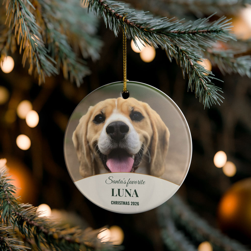 Personalized Pet Christmas Ornament - Santa's Favorite