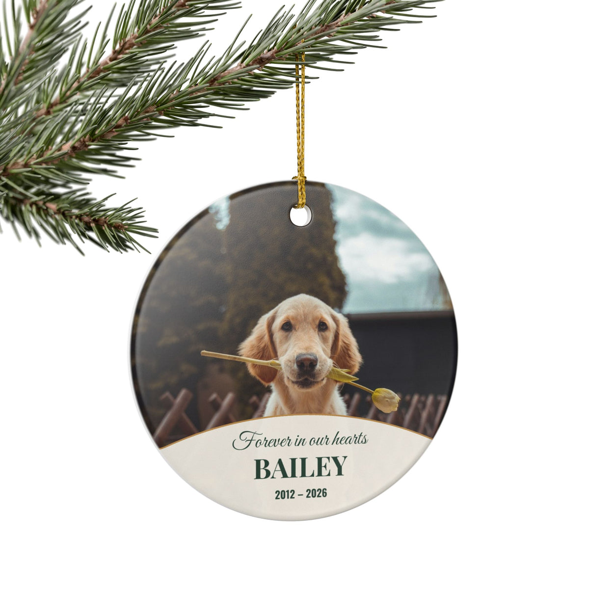 Personalized Pet Memorial Ornament - Forever in Our Hearts