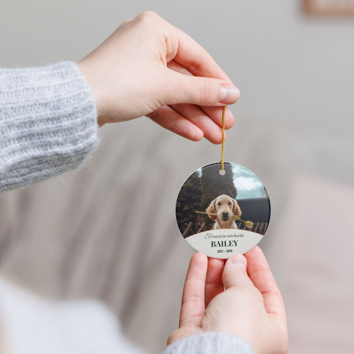 Personalized Pet Memorial Ornament - Forever in Our Hearts
